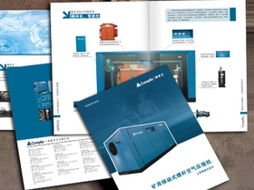 視覺(jué)傳達(dá)的藝術(shù) 宣傳畫(huà)冊(cè)、書(shū)刊雜志、說(shuō)明書(shū)與廣告設(shè)計(jì)的創(chuàng)作要義